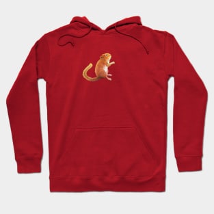 Hazel Dormouse (Muscardinus avellanarius) Looking up to the Sky Hoodie